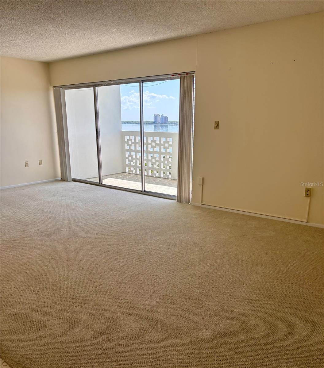 2401 BAYSHORE BLVD #903, TAMPA, FL, 33629