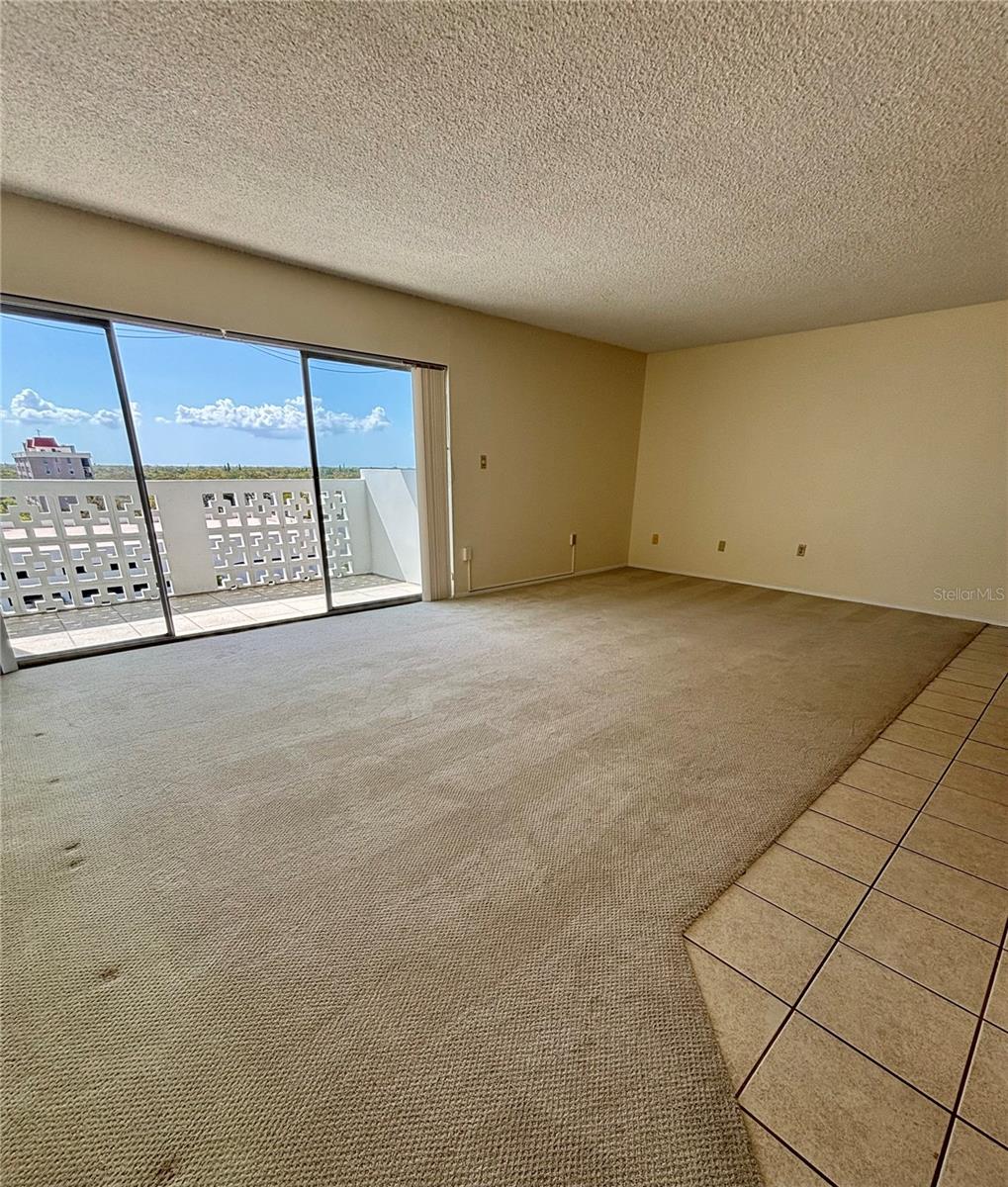 2401 BAYSHORE BLVD #903, TAMPA, FL, 33629