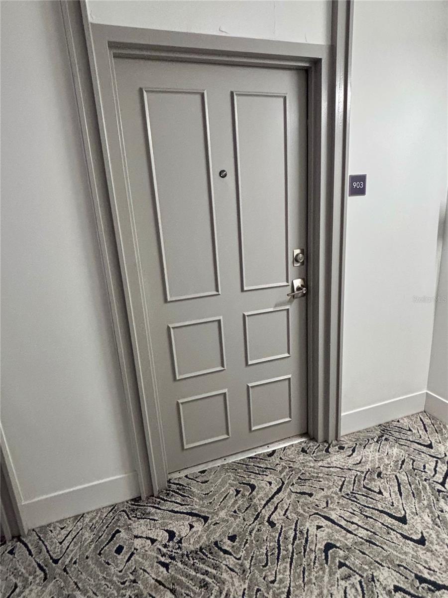2401 BAYSHORE BLVD #903, TAMPA, FL, 33629
