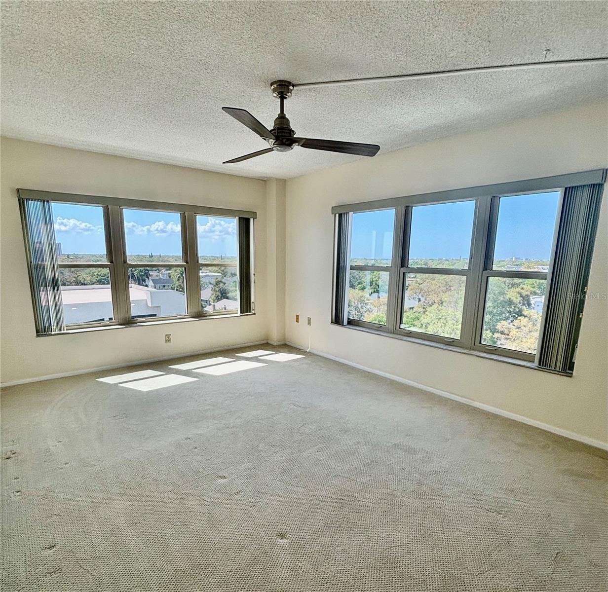 2401 BAYSHORE BLVD #903, TAMPA, FL, 33629