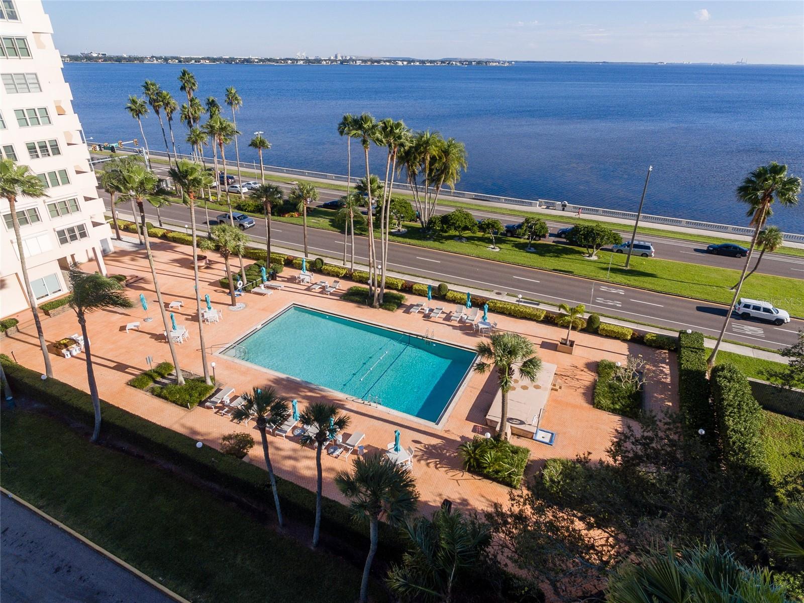 2401 BAYSHORE BLVD #903, TAMPA, FL, 33629