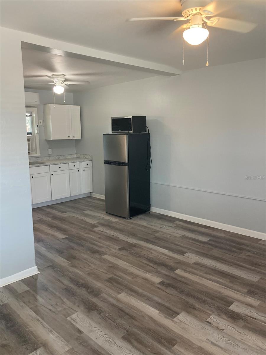 1401 E ALFRED ST #3, TAVARES, FL, 32778