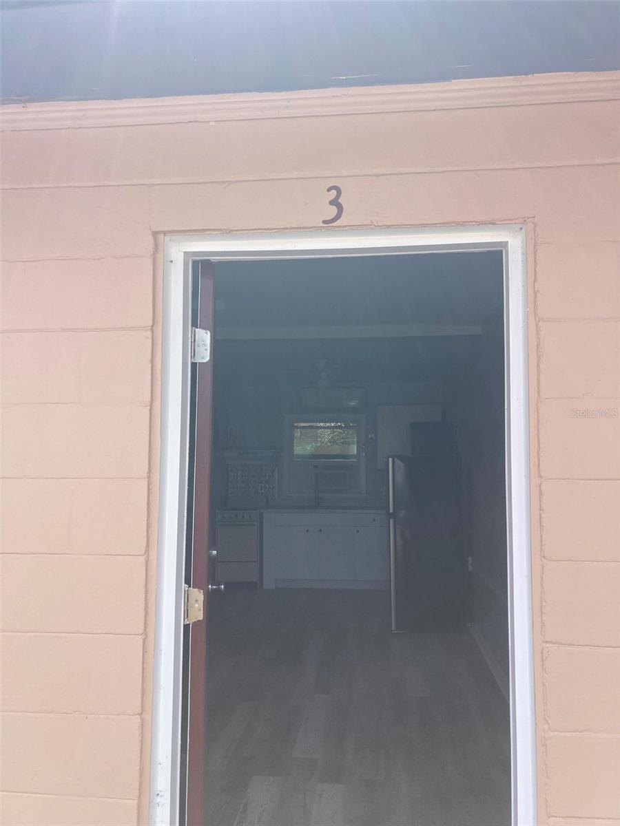 1401 E ALFRED ST #3, TAVARES, FL, 32778