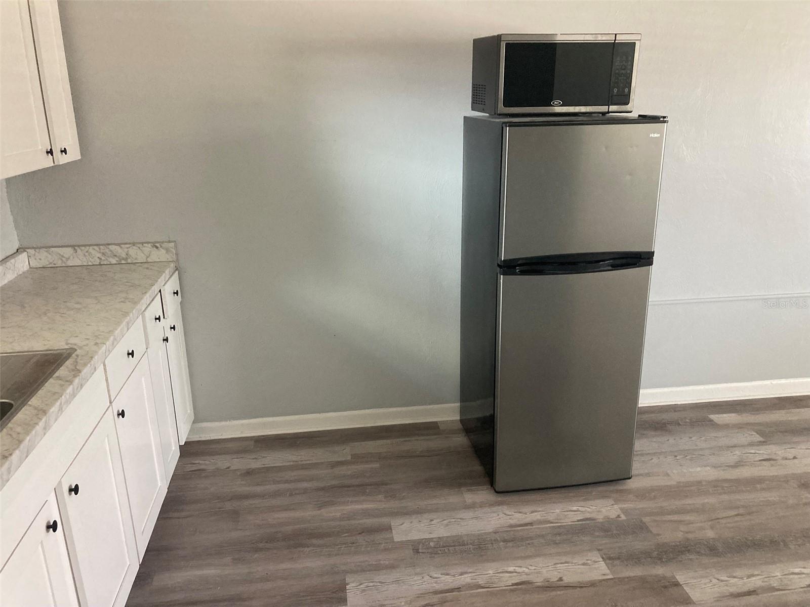 1401 E ALFRED ST #3, TAVARES, FL, 32778