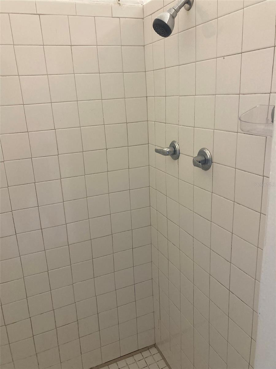 1401 E ALFRED ST #3, TAVARES, FL, 32778