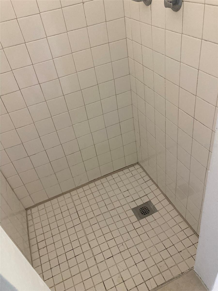 1401 E ALFRED ST #3, TAVARES, FL, 32778