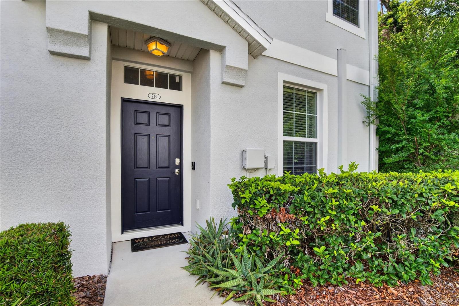714 ASHENTREE DR, PLANT CITY, FL, 33563