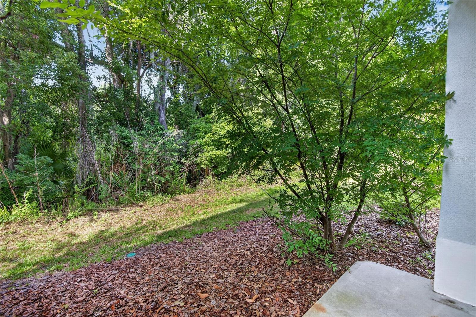714 ASHENTREE DR, PLANT CITY, FL, 33563