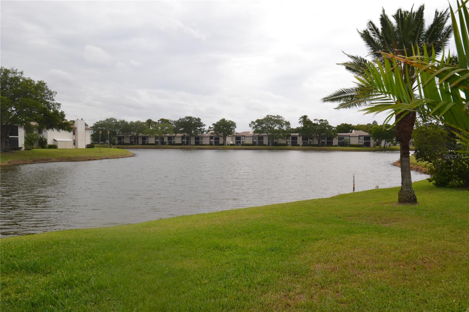 161 LAKESIDE DR, OLDSMAR, FL, 34677