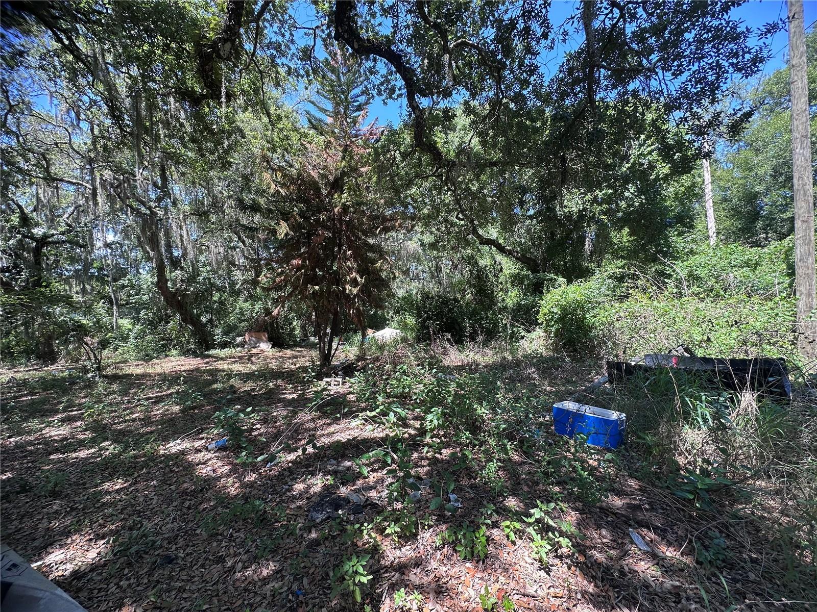 9315 E TREASURE ISLAND AVE, LEESBURG, FL, 34788