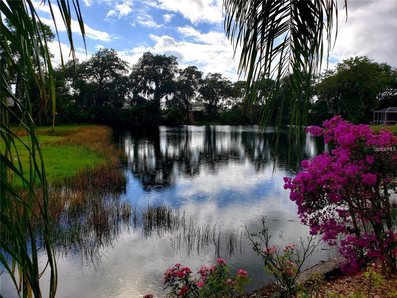 5125 MAGNOLIA POND DR, SARASOTA, FL, 34233