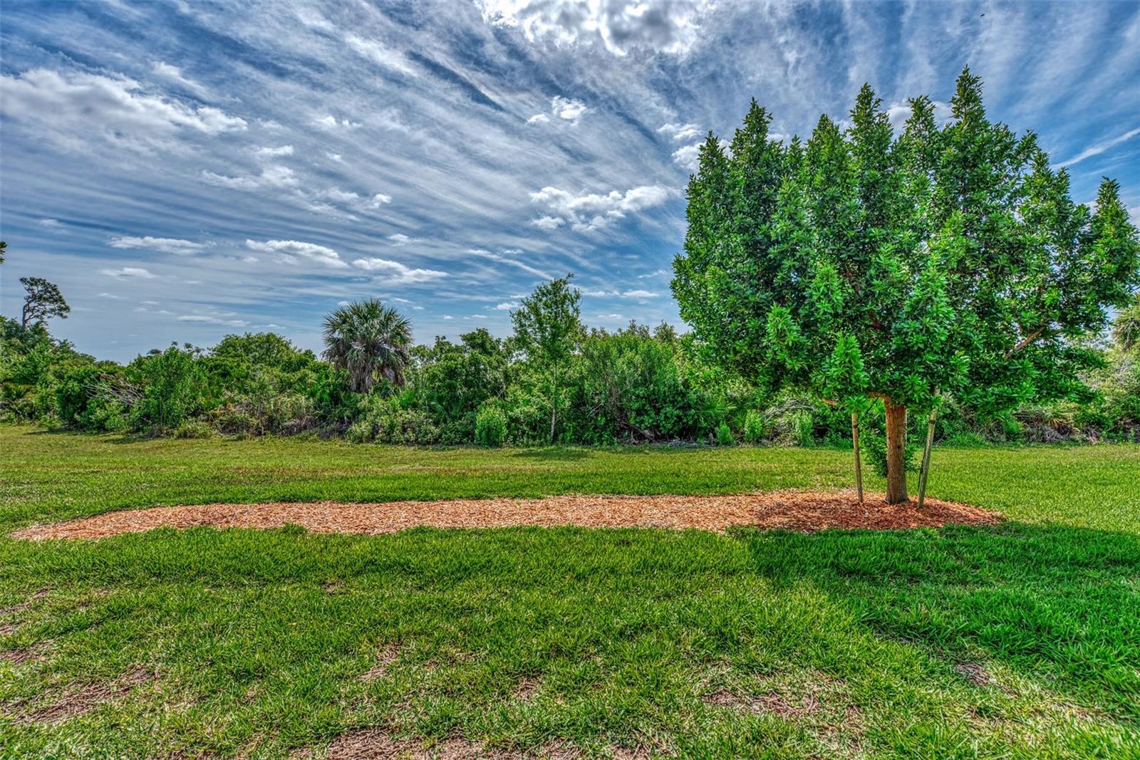 10113 FIDDLEWOOD DR, VENICE, FL, 34293