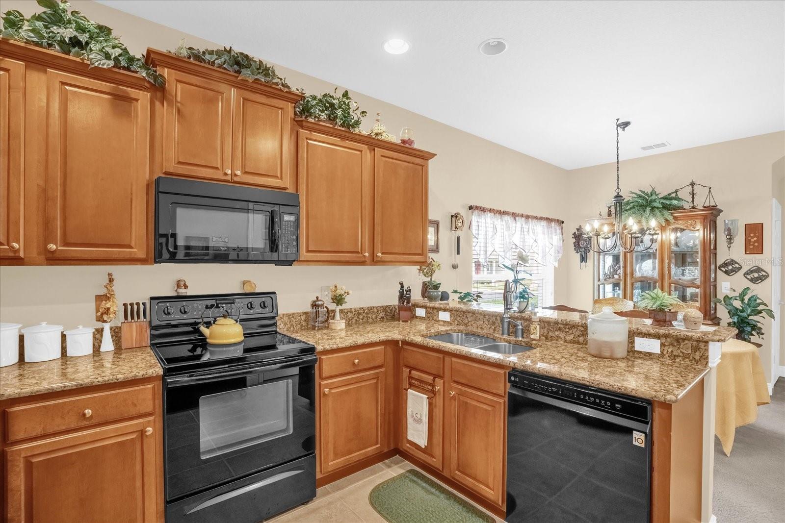 1338 ALSTON BAY BLVD, APOPKA, FL, 32703
