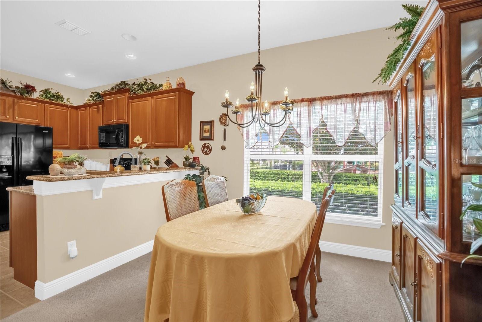 1338 ALSTON BAY BLVD, APOPKA, FL, 32703