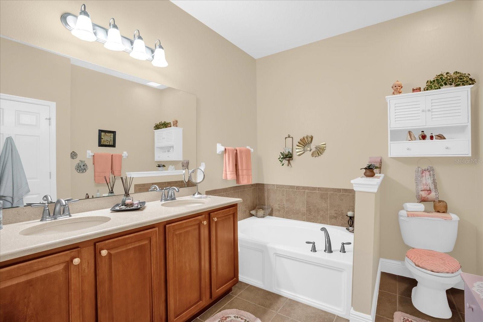 1338 ALSTON BAY BLVD, APOPKA, FL, 32703