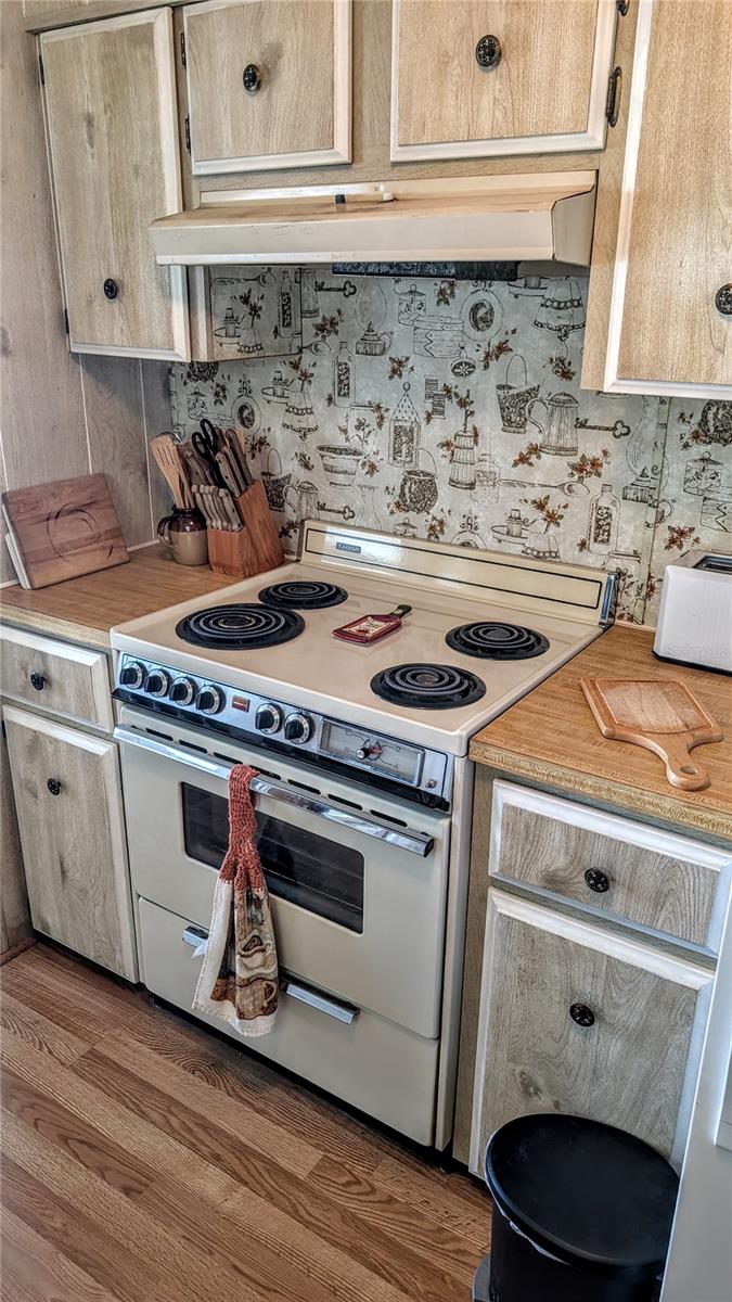 39820 US HIGHWAY 19 N #199, TARPON SPRINGS, FL, 34689