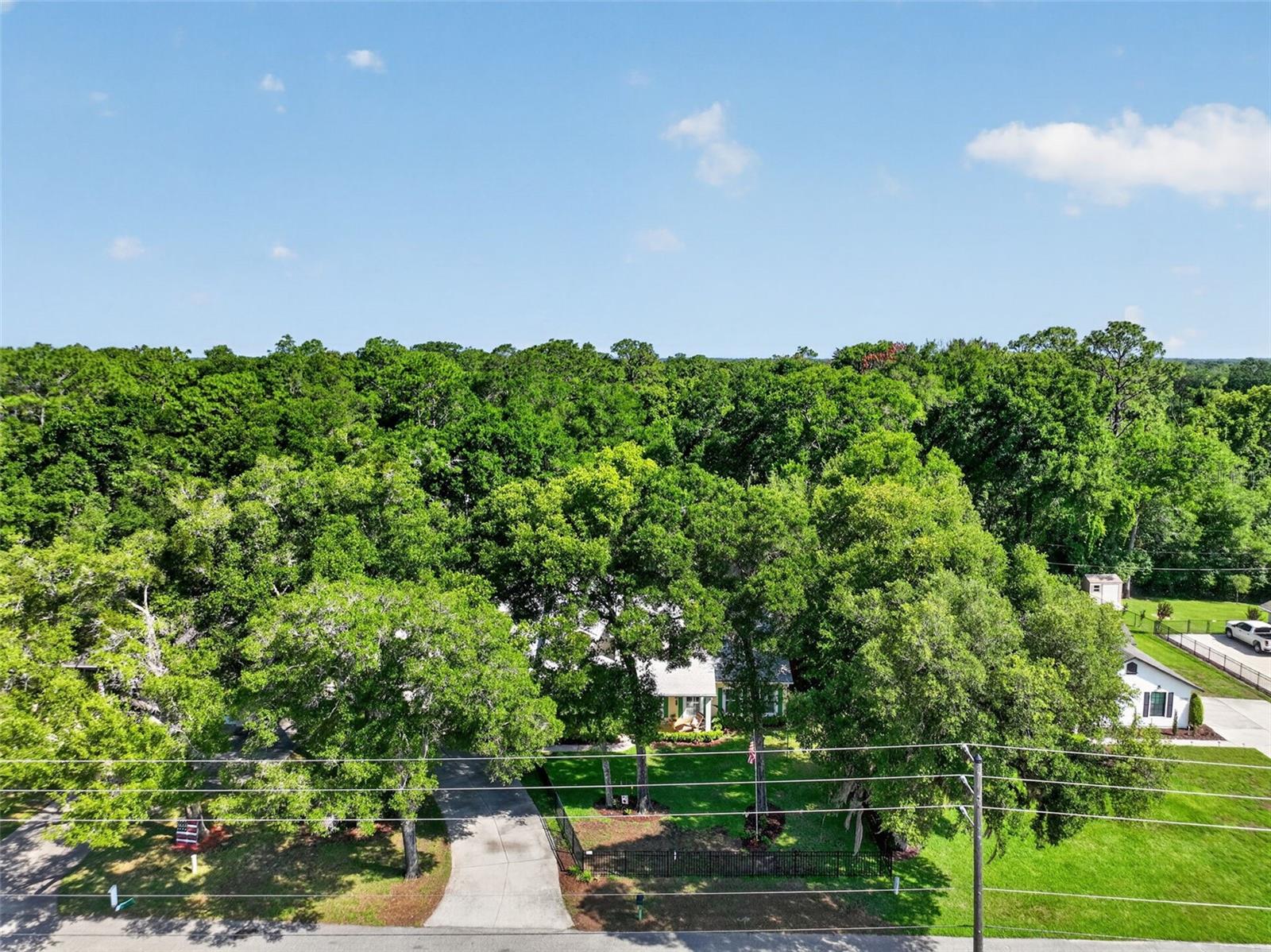 26243 TROON AVE, MOUNT PLYMOUTH, FL, 32776
