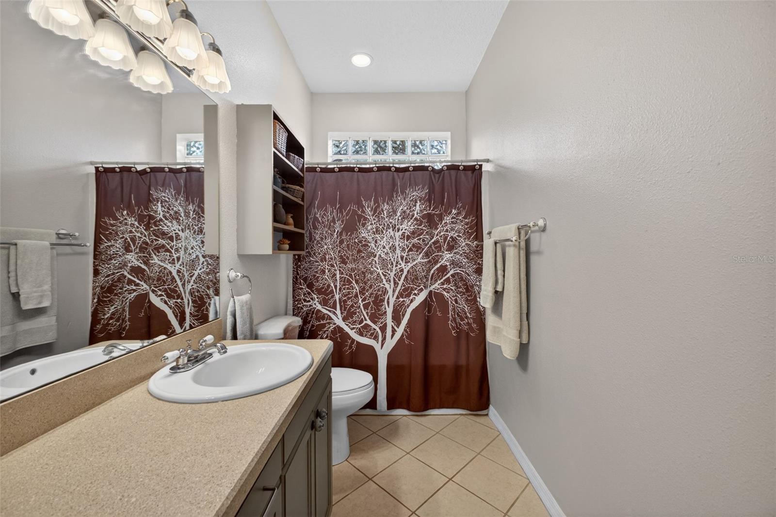 26243 TROON AVE, MOUNT PLYMOUTH, FL, 32776