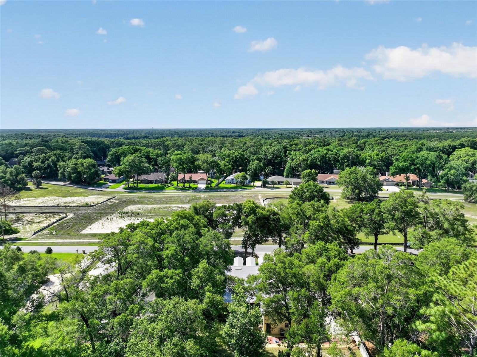 26243 TROON AVE, MOUNT PLYMOUTH, FL, 32776