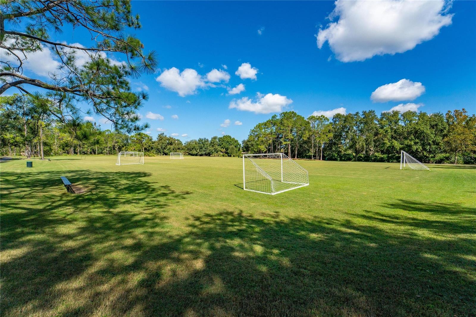 18103 HAMDEN PARK WAY, TAMPA, FL, 33647