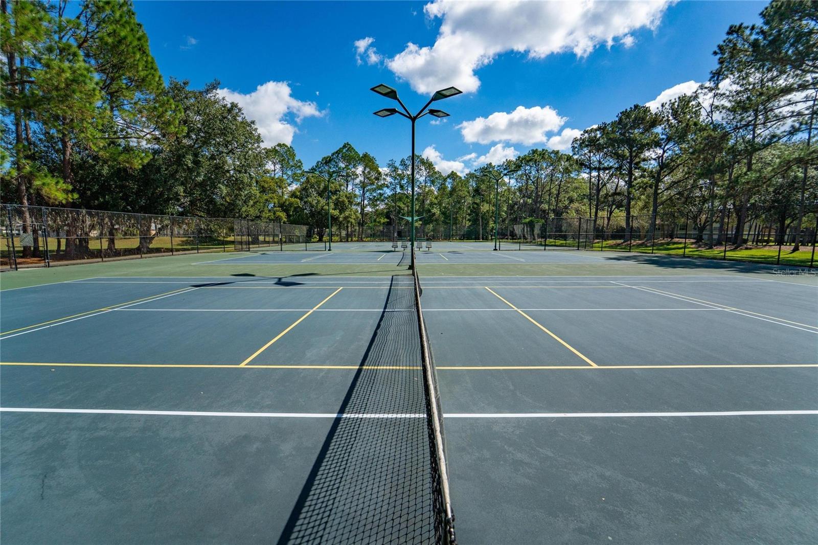 18103 HAMDEN PARK WAY, TAMPA, FL, 33647