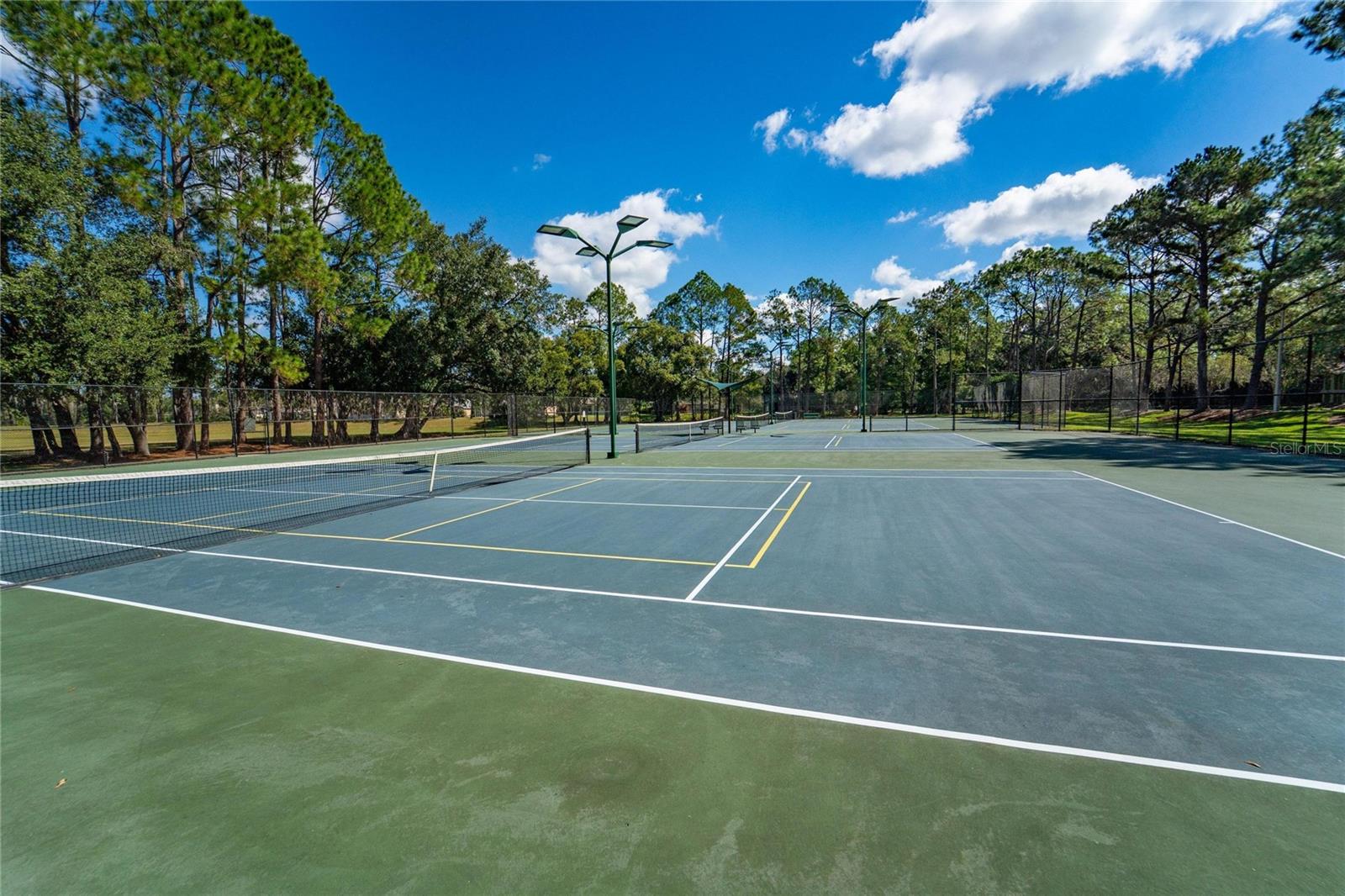 18103 HAMDEN PARK WAY, TAMPA, FL, 33647