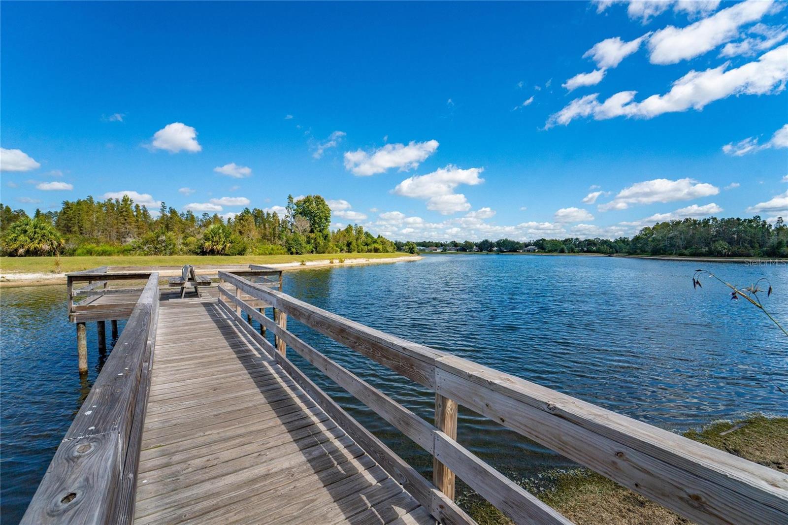 18103 HAMDEN PARK WAY, TAMPA, FL, 33647