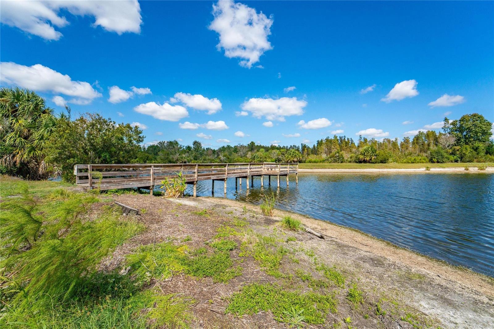 18103 HAMDEN PARK WAY, TAMPA, FL, 33647