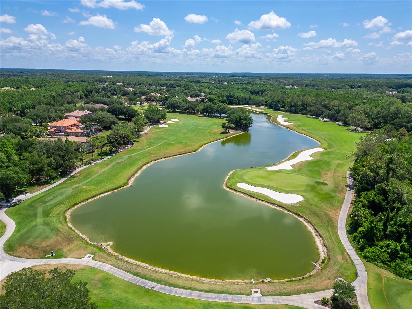 18103 HAMDEN PARK WAY, TAMPA, FL, 33647