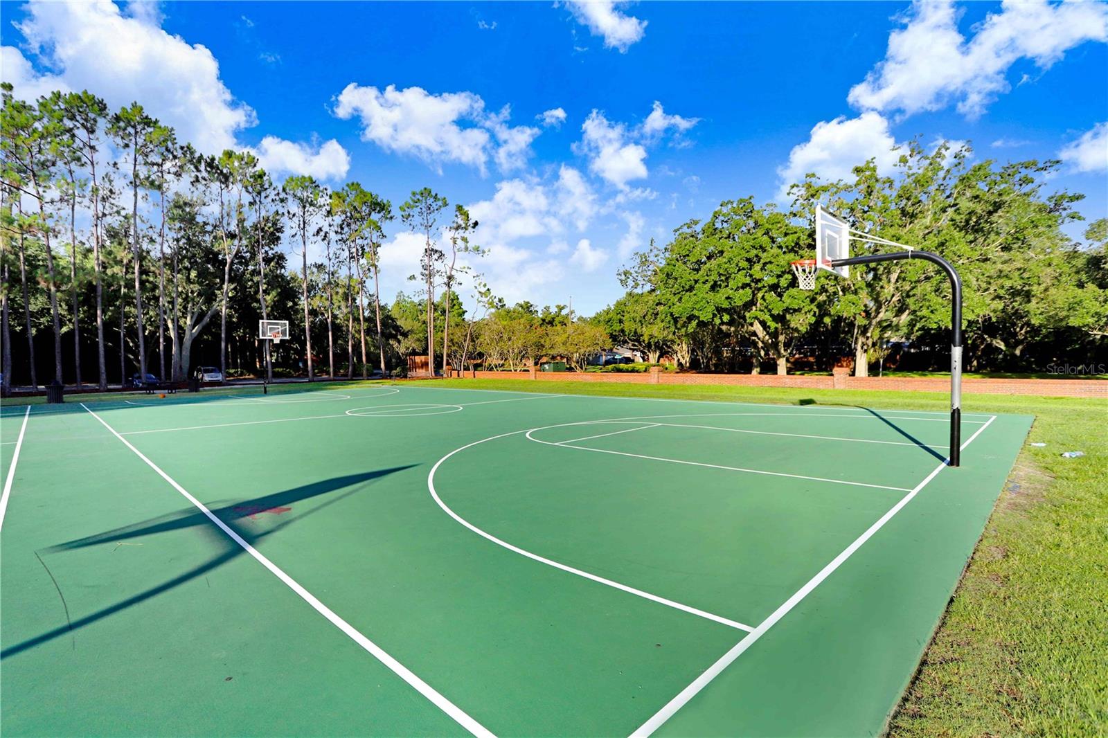 9838 W PARK VILLAGE DR #9838, TAMPA, FL, 33626