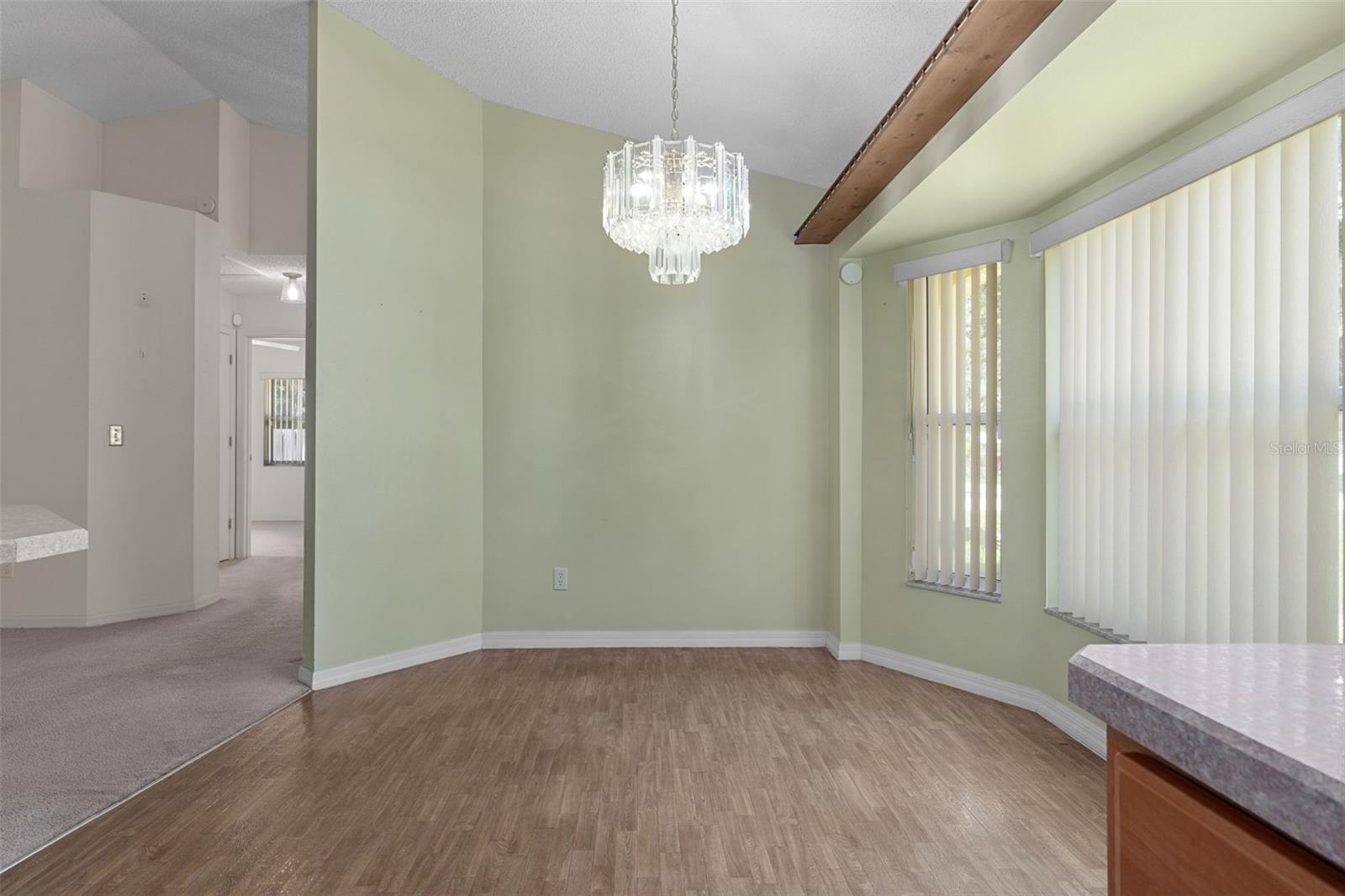 2472 CR 447, LAKE PANASOFFKEE, FL, 33538