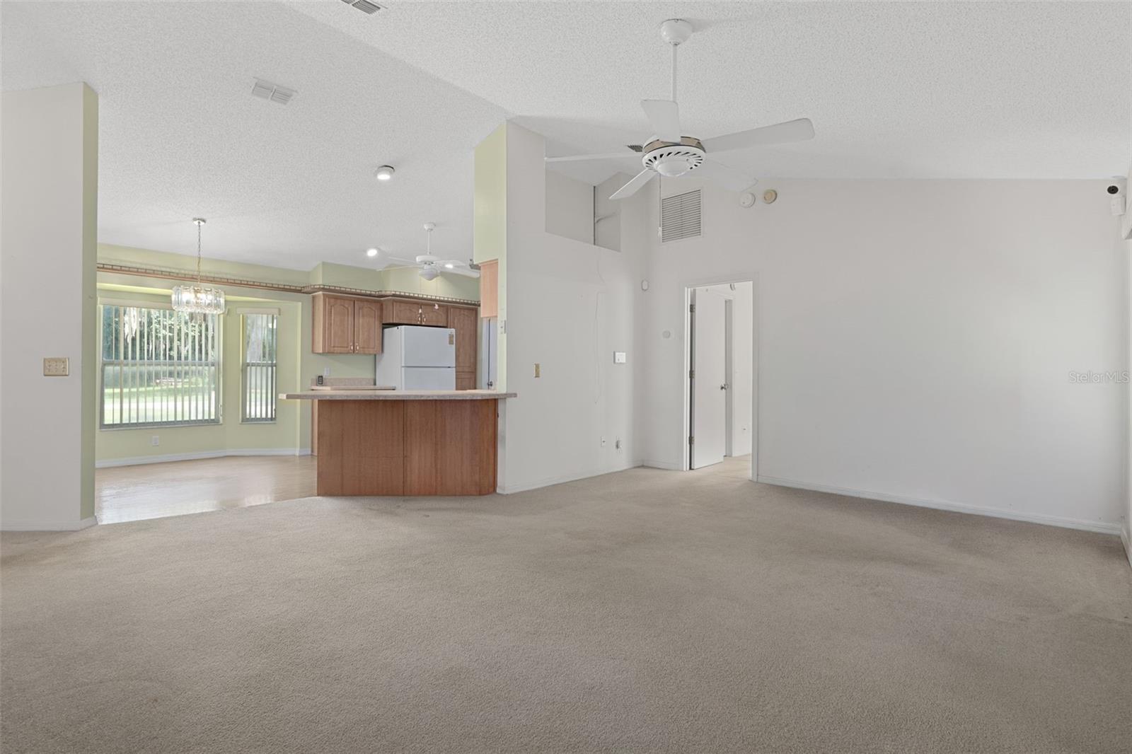 2472 CR 447, LAKE PANASOFFKEE, FL, 33538