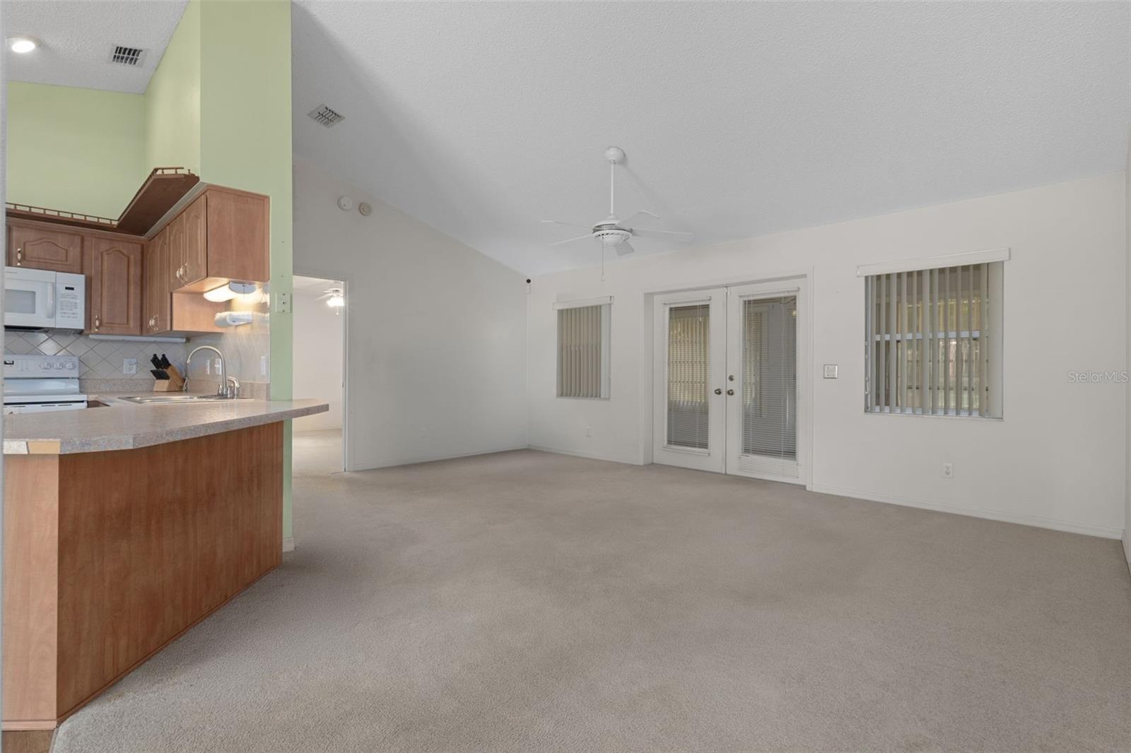 2472 CR 447, LAKE PANASOFFKEE, FL, 33538