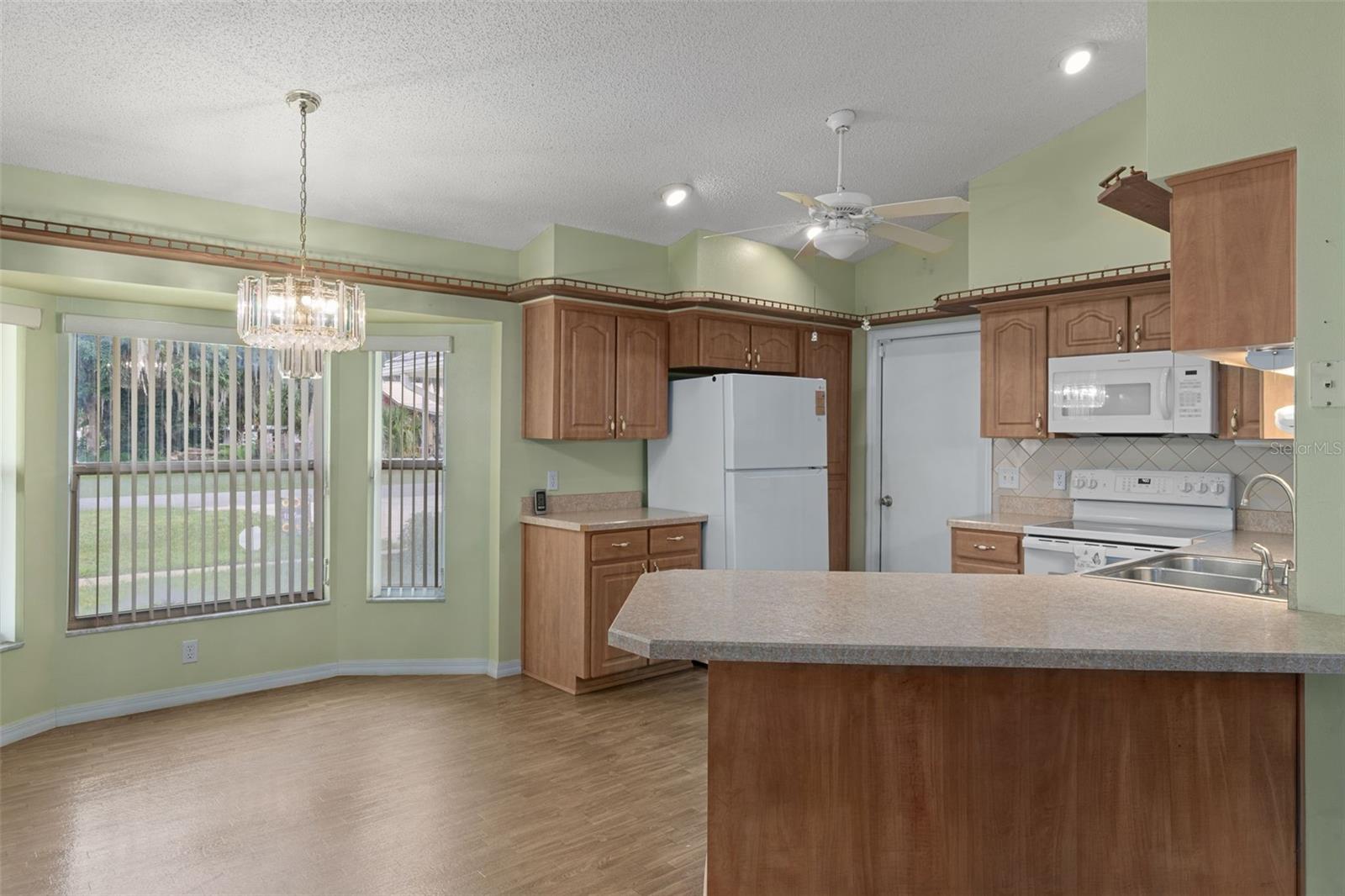 2472 CR 447, LAKE PANASOFFKEE, FL, 33538