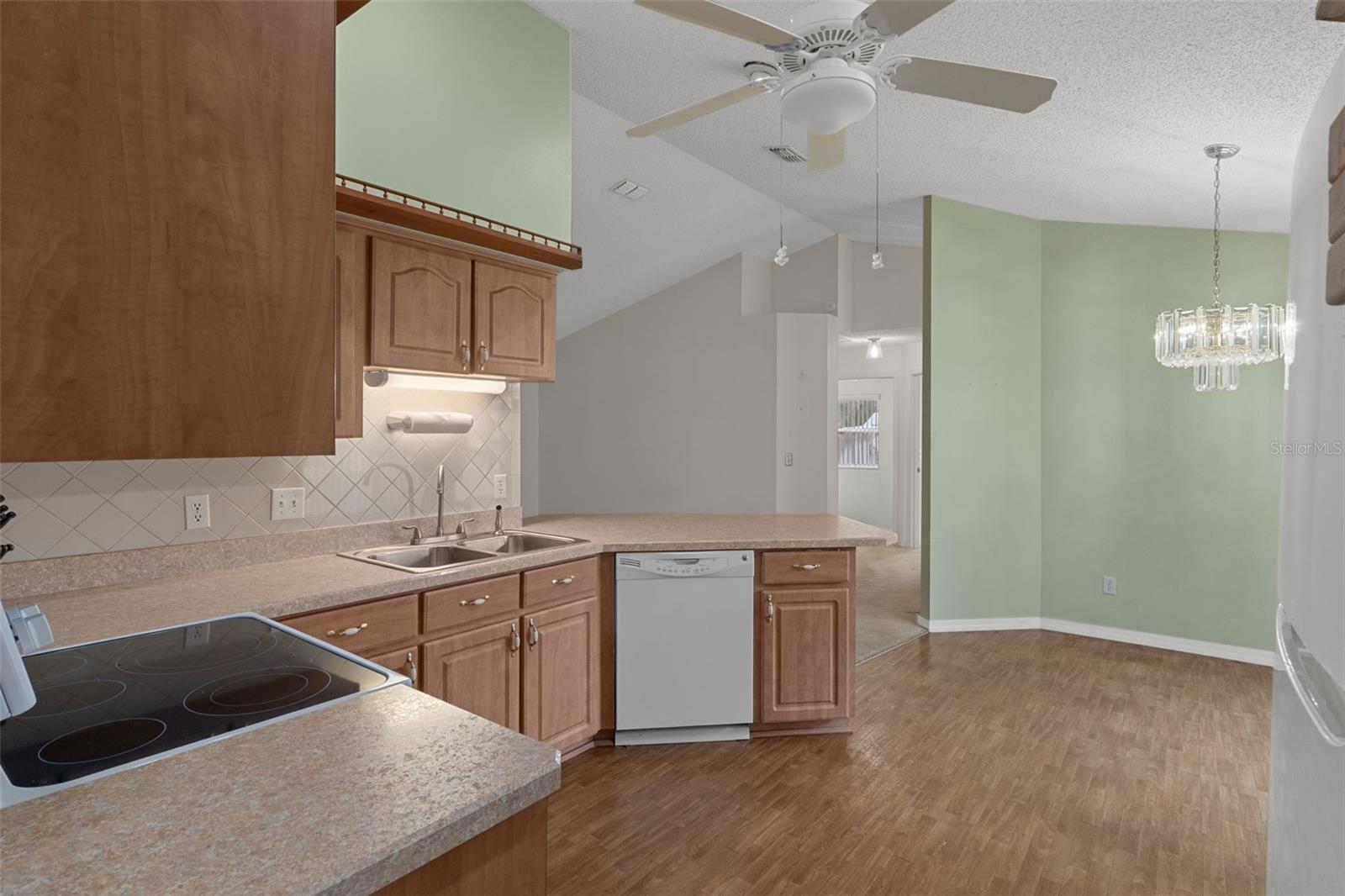 2472 CR 447, LAKE PANASOFFKEE, FL, 33538
