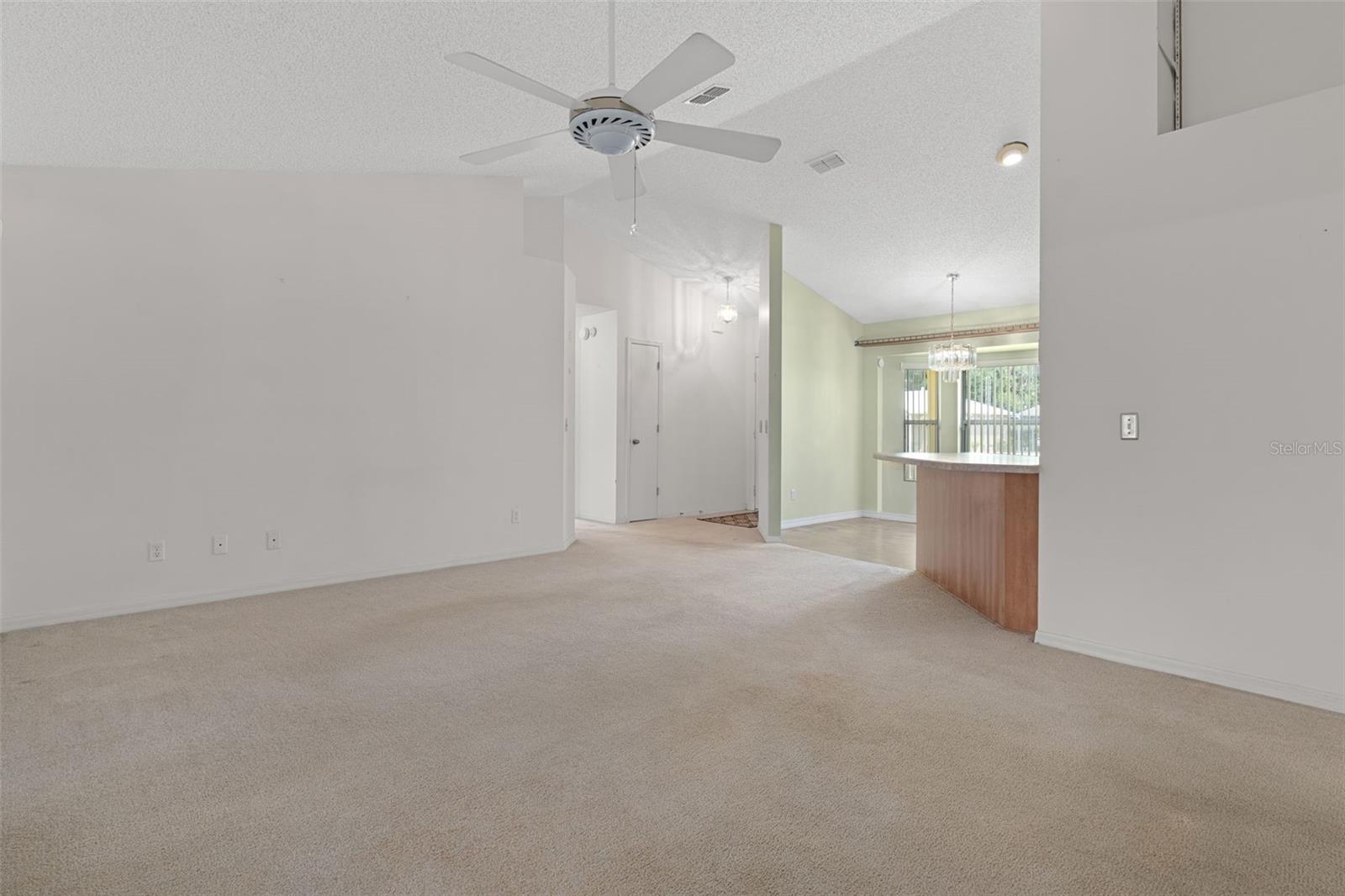2472 CR 447, LAKE PANASOFFKEE, FL, 33538