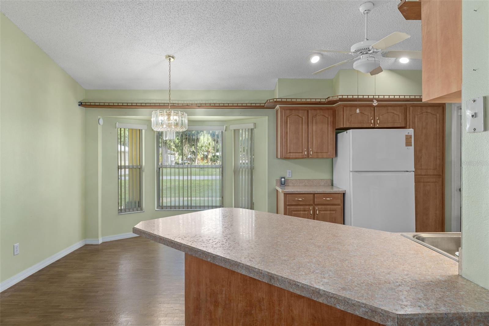 2472 CR 447, LAKE PANASOFFKEE, FL, 33538