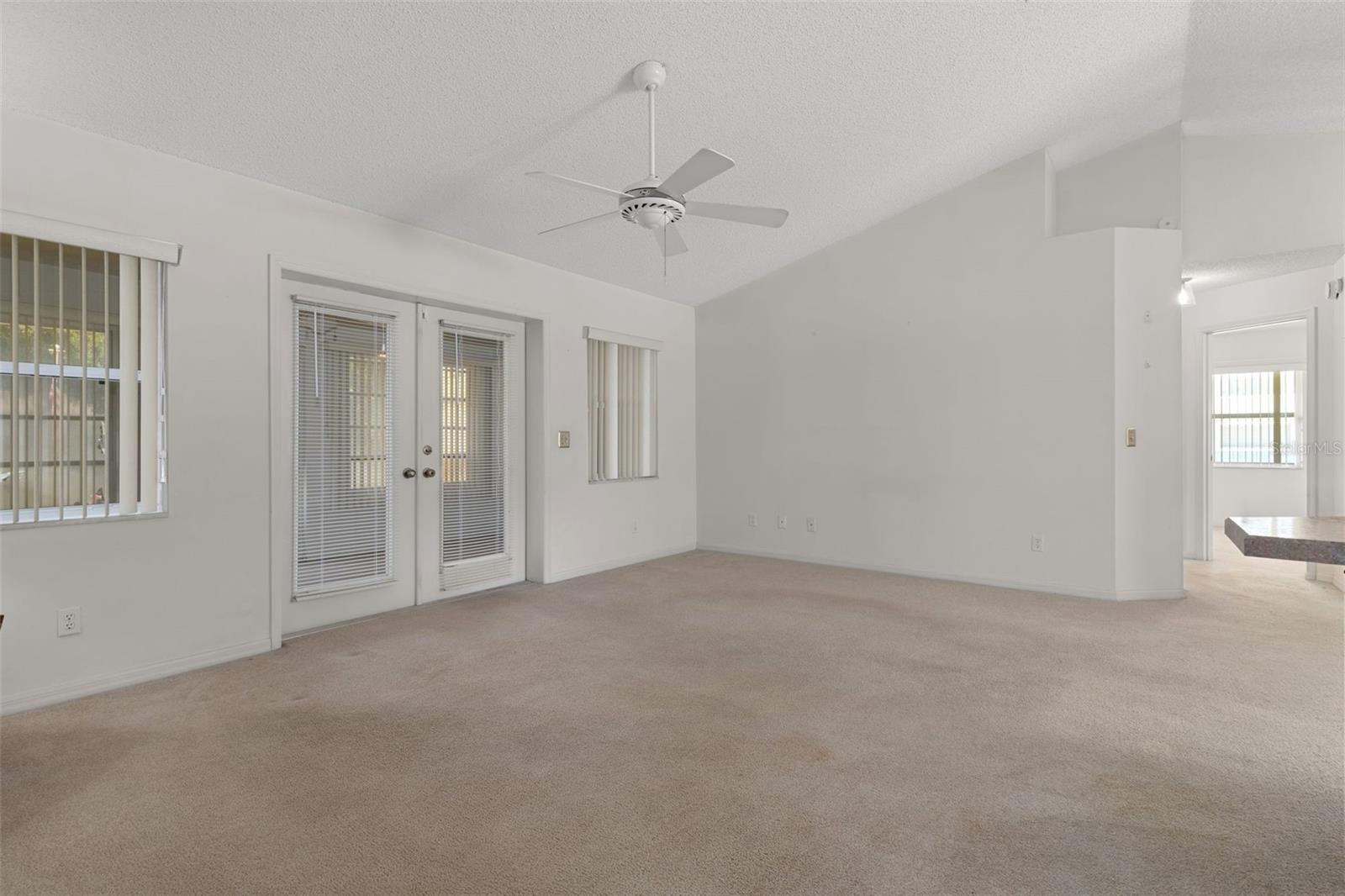 2472 CR 447, LAKE PANASOFFKEE, FL, 33538