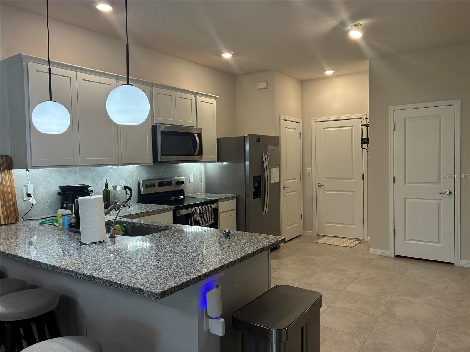 31371 AMBERVIEW BEND, WESLEY CHAPEL, FL, 33545
