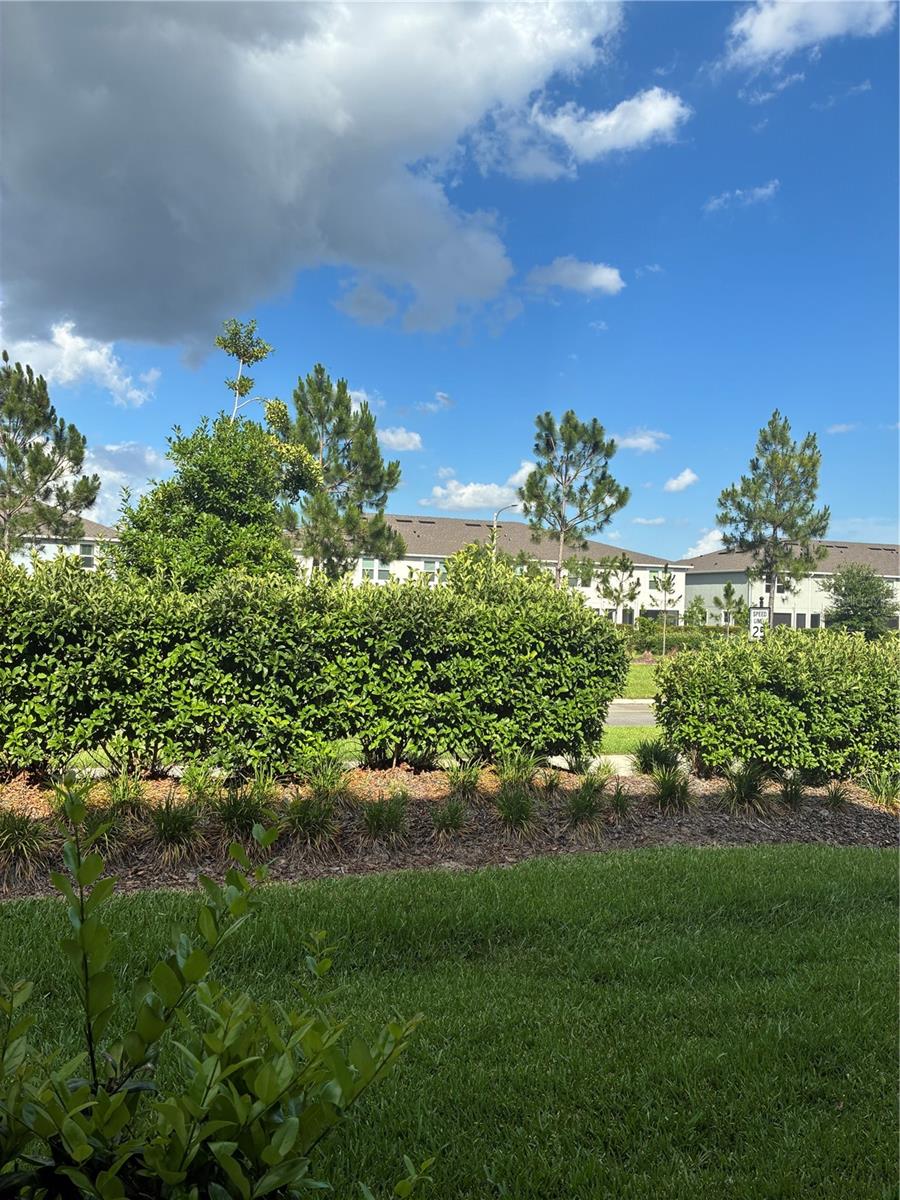 31371 AMBERVIEW BEND, WESLEY CHAPEL, FL, 33545