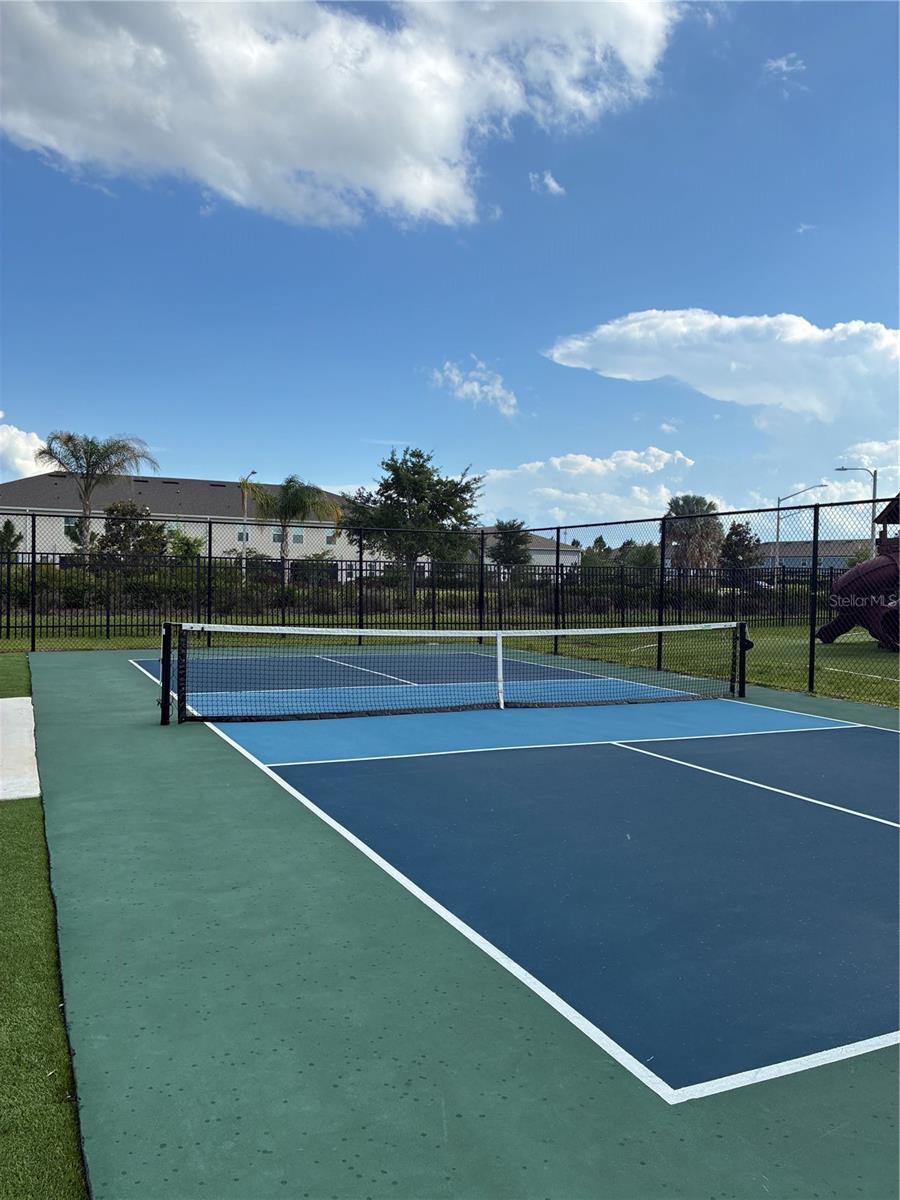 31371 AMBERVIEW BEND, WESLEY CHAPEL, FL, 33545