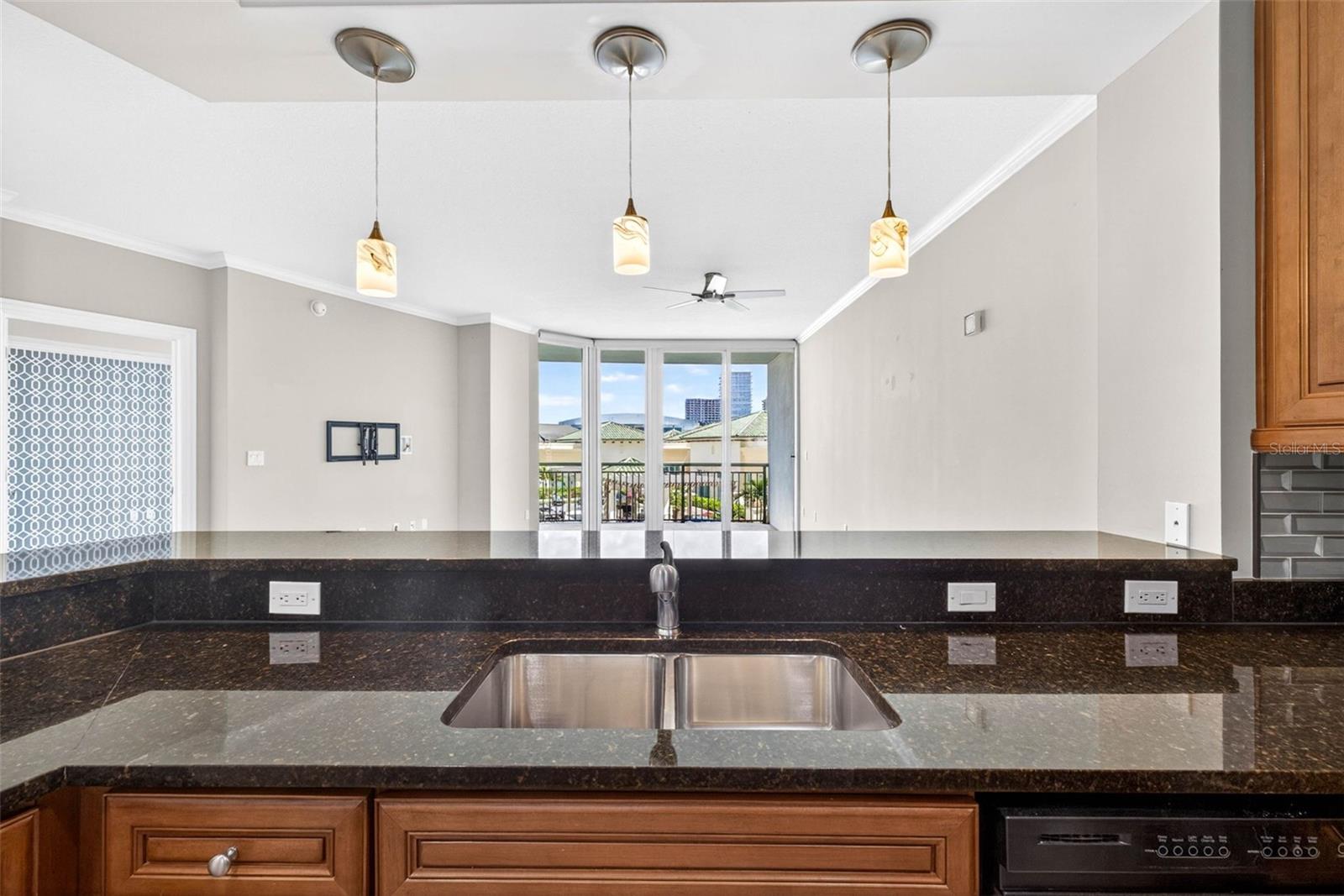 450 KNIGHTS RUN AVE #505, TAMPA, FL, 33602
