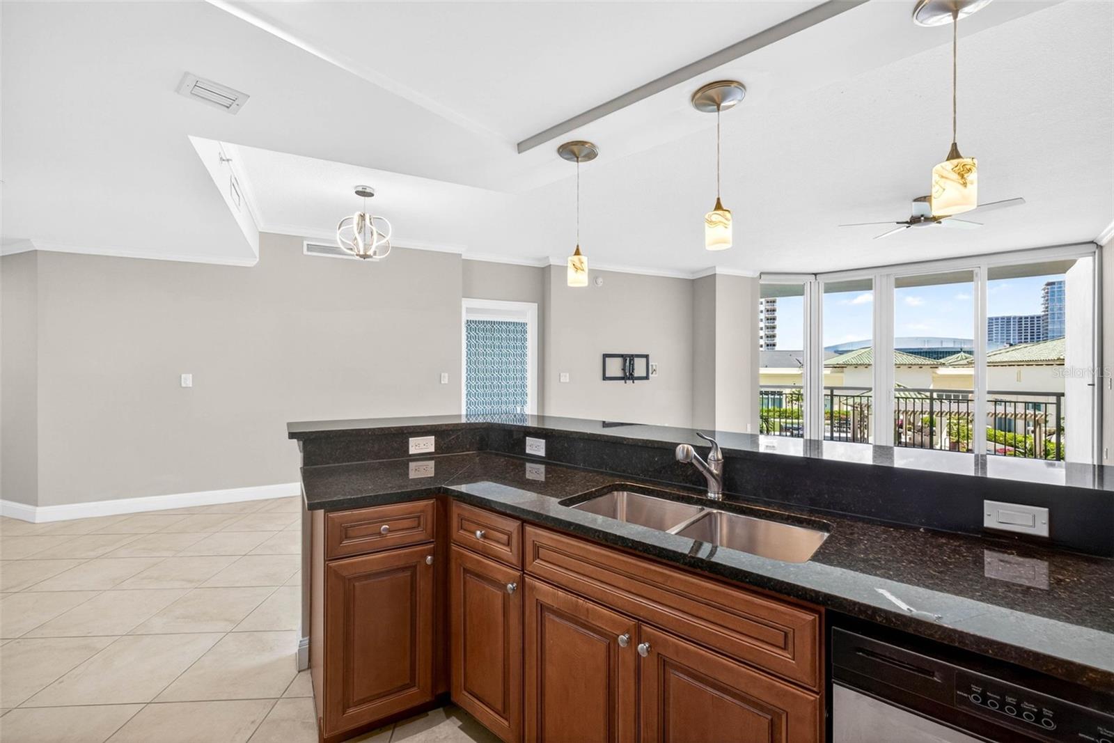 450 KNIGHTS RUN AVE #505, TAMPA, FL, 33602