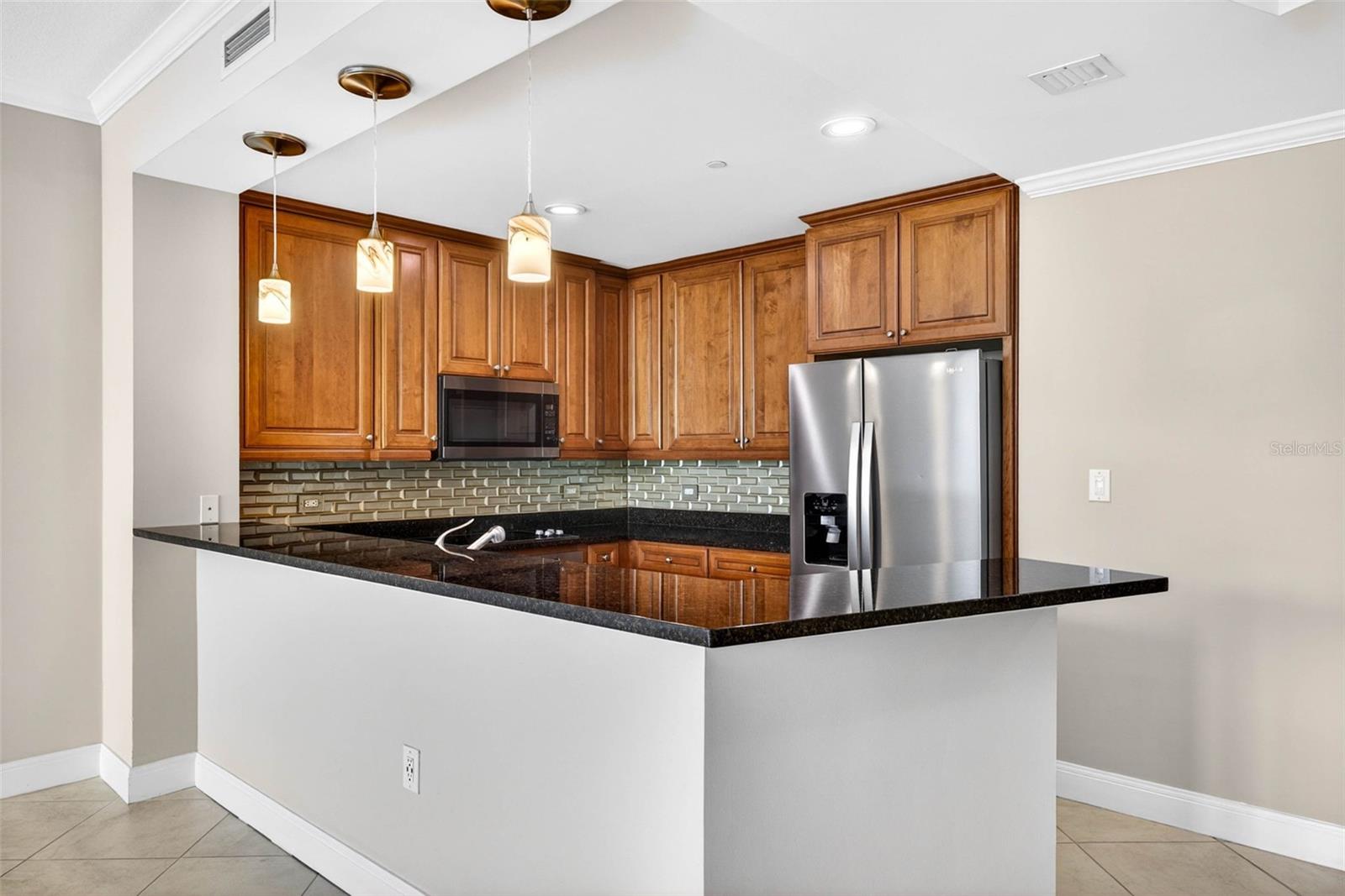450 KNIGHTS RUN AVE #505, TAMPA, FL, 33602