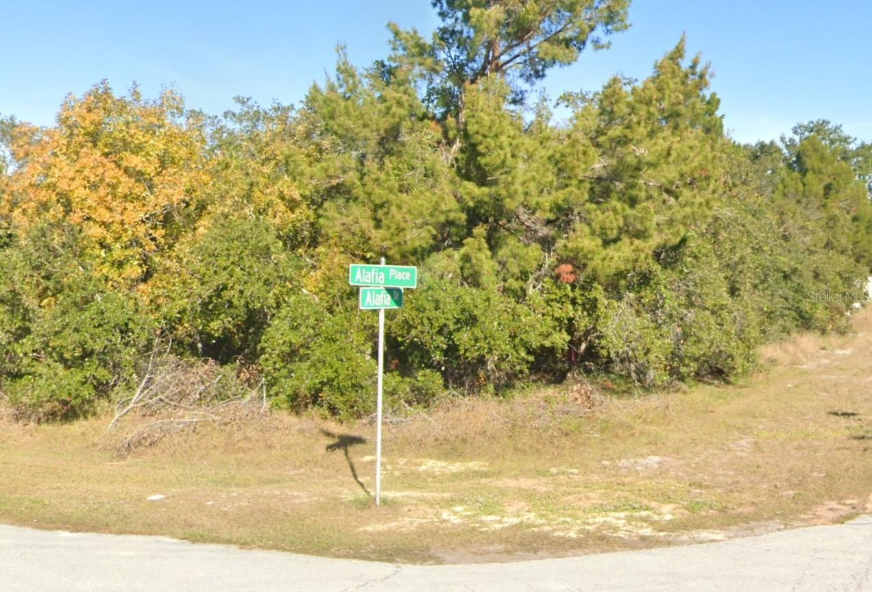 611 ALAFIA PL, KISSIMMEE, FL, 34759