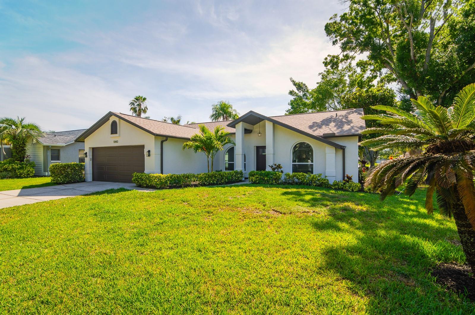 1043 RIDGE VIEW LN, PALM HARBOR, FL, 34683