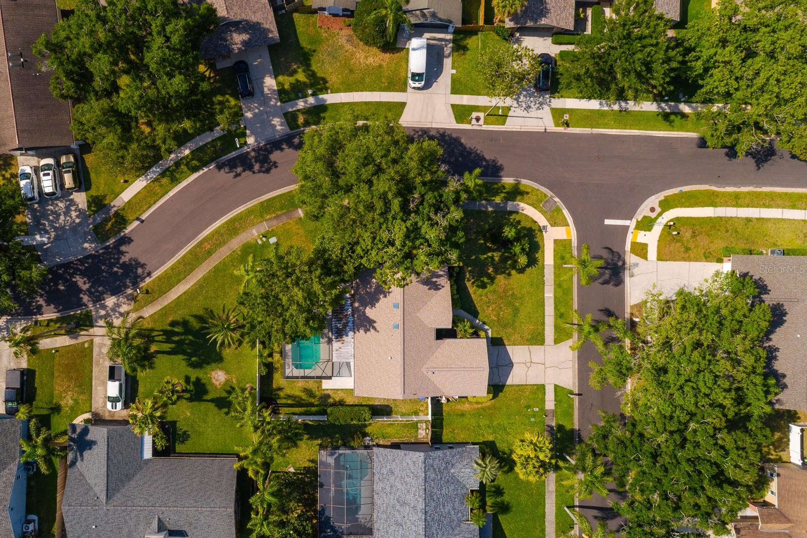 1043 RIDGE VIEW LN, PALM HARBOR, FL, 34683
