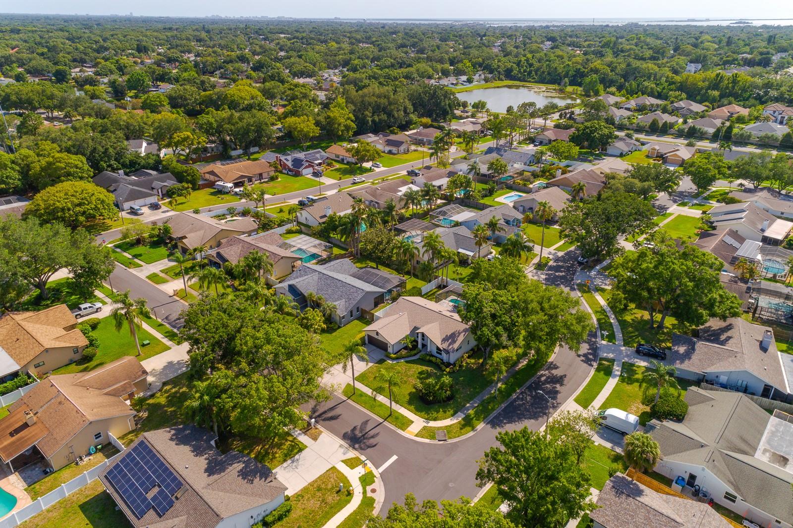 1043 RIDGE VIEW LN, PALM HARBOR, FL, 34683