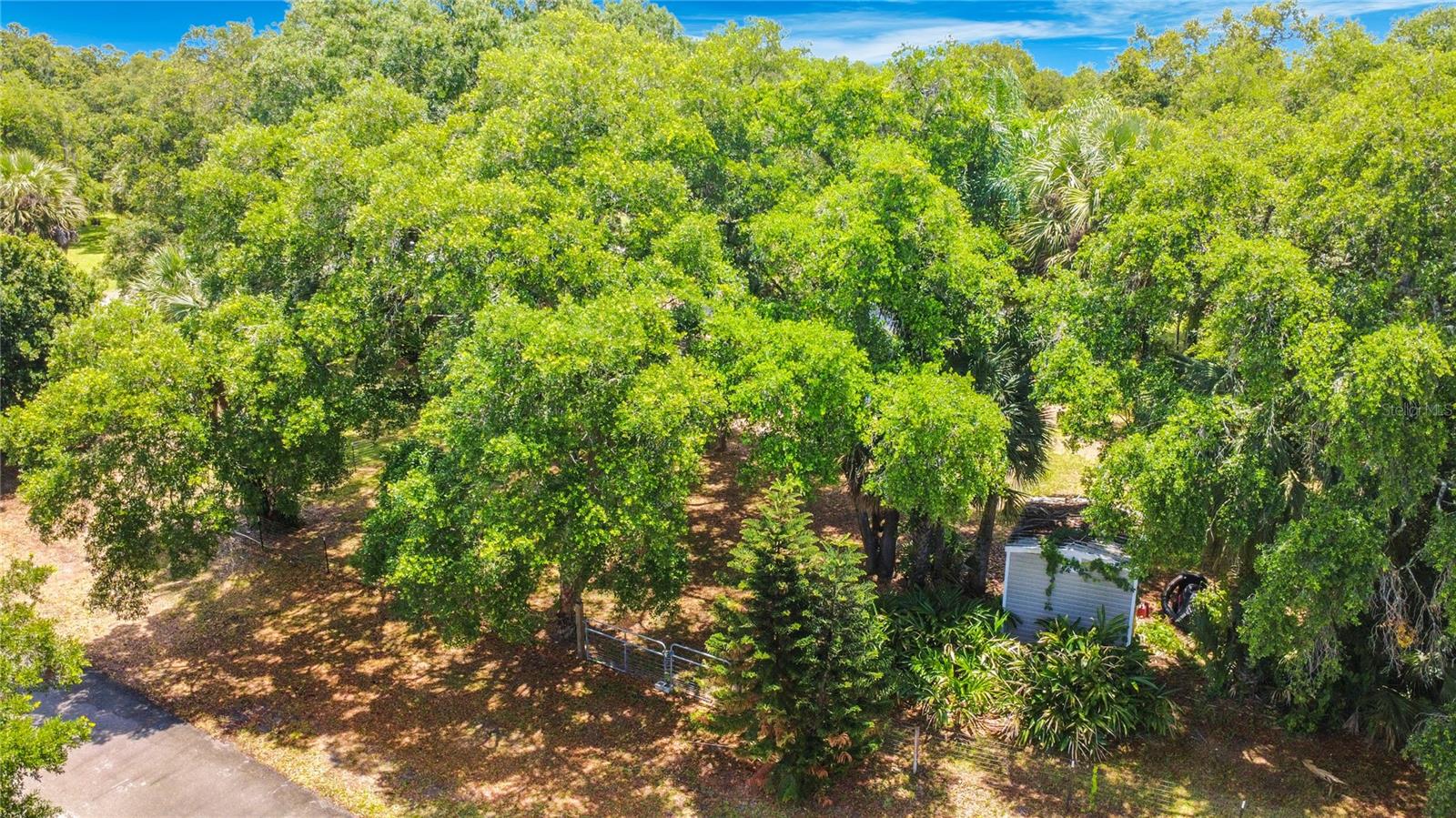 420 NINA RD NE, PALM BAY, FL, 32907