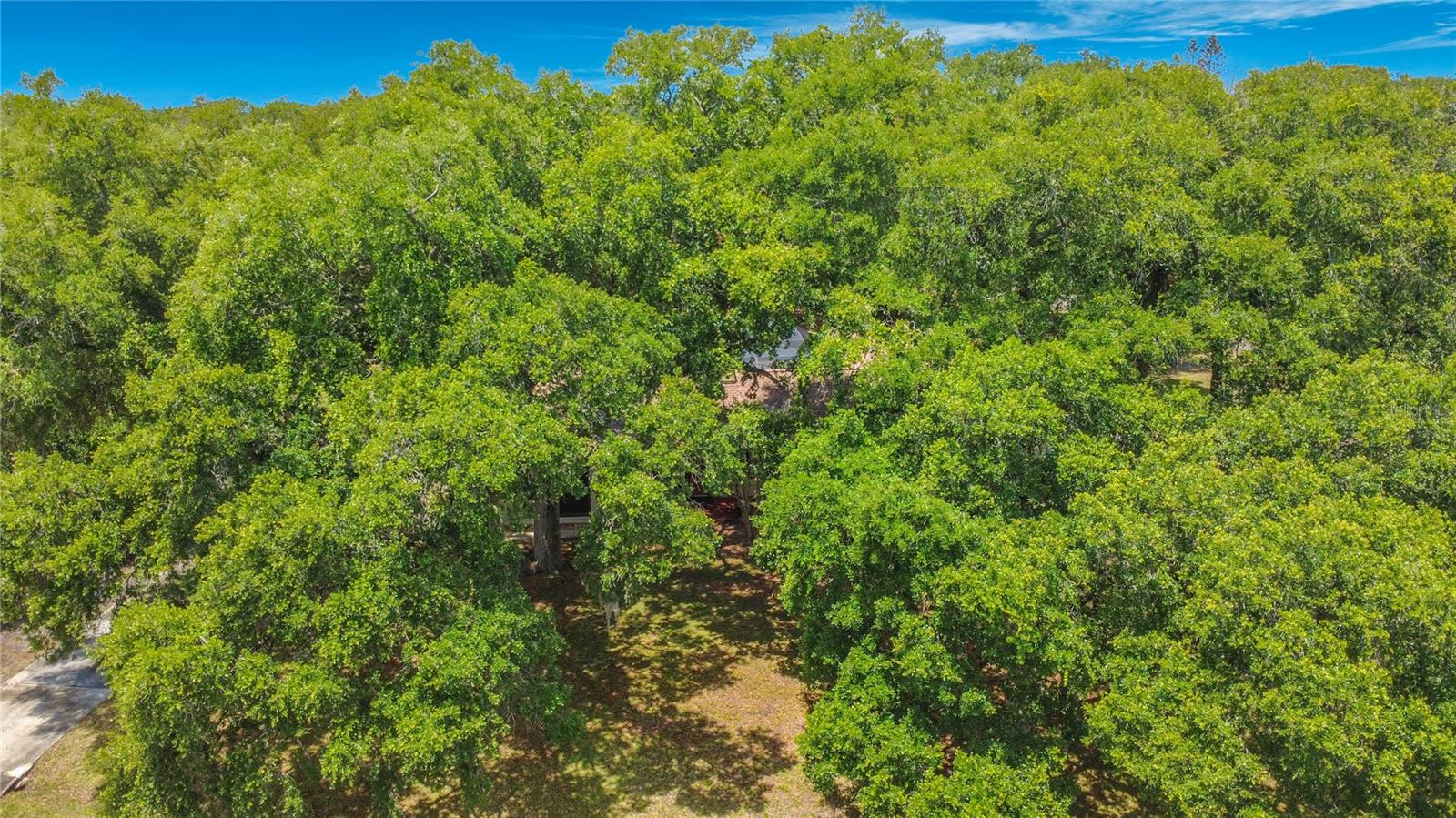 420 NINA RD NE, PALM BAY, FL, 32907